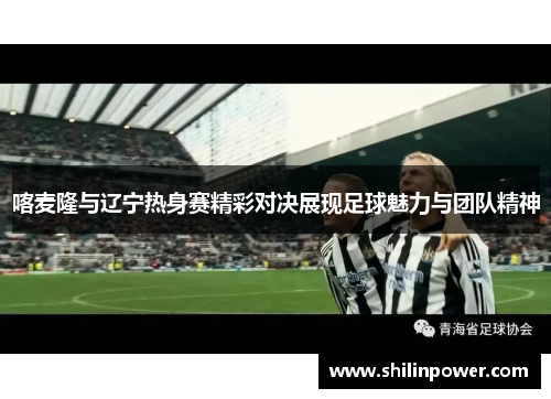 喀麦隆与辽宁热身赛精彩对决展现足球魅力与团队精神