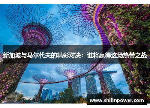 新加坡与马尔代夫的精彩对决：谁将赢得这场热带之战