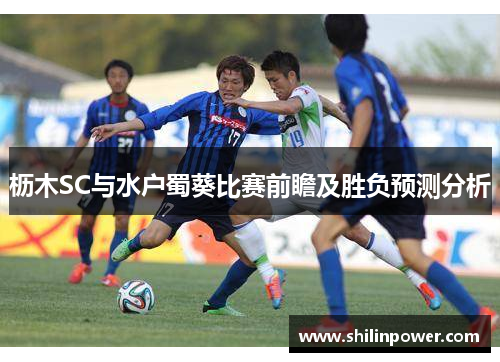 枥木SC与水户蜀葵比赛前瞻及胜负预测分析