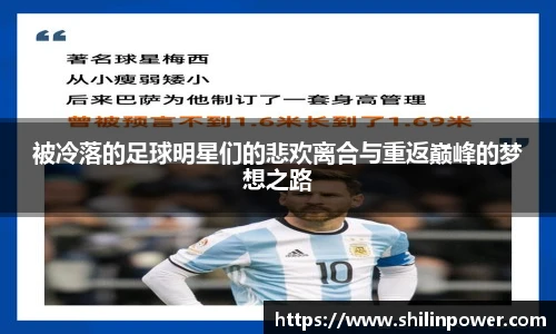 被冷落的足球明星们的悲欢离合与重返巅峰的梦想之路